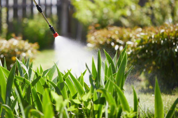 24/7 Emergency Mosquito Control experts in Murphy, NC
