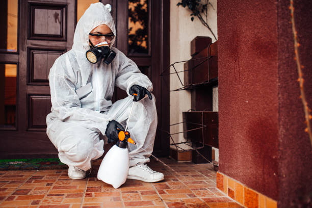Reliable Mosquito Control contractor in Murphy, NC by Nex Pest Control